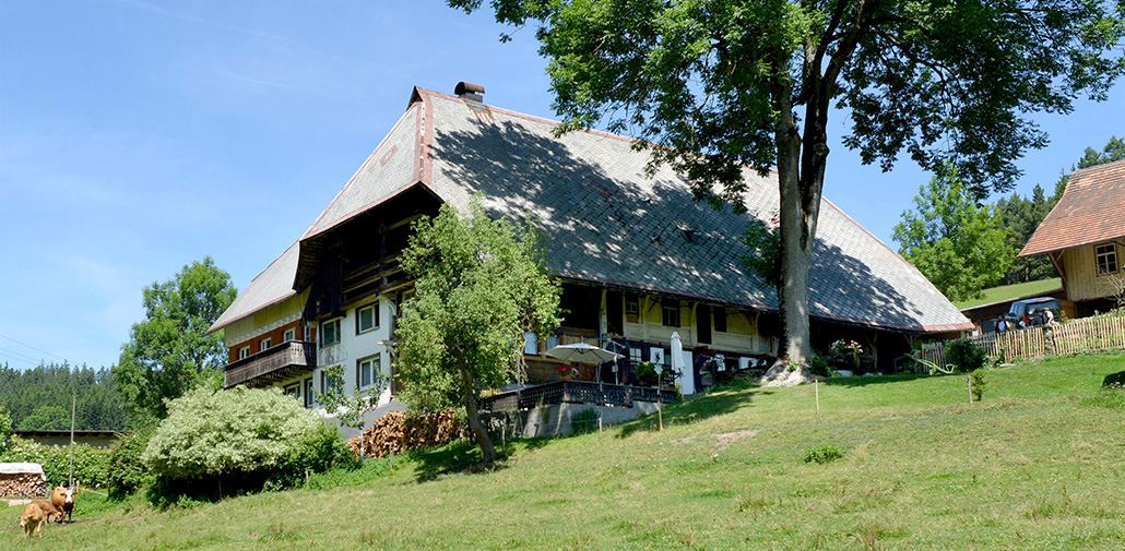 Ein Haus will nach oben – Holzbau macht´s möglich